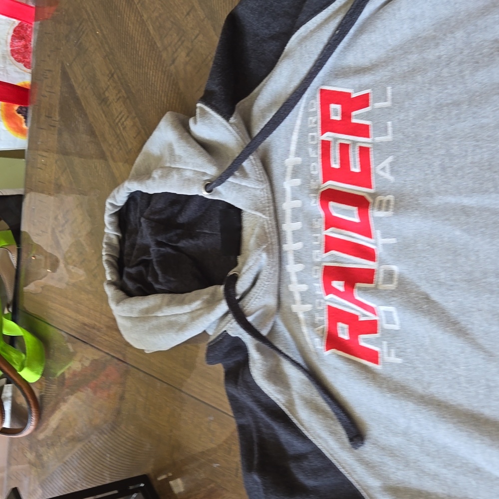 Hoodie sweatshirt